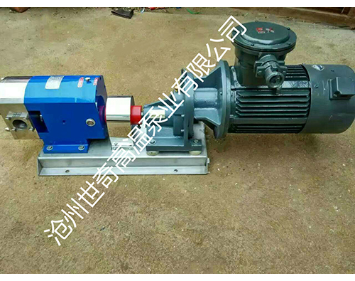 凸輪轉(zhuǎn)子泵